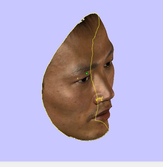 人臉面具打印 人臉面具打印