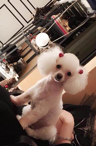 全彩尼龍粉末材料打印 全彩尼龍粉末材料打印